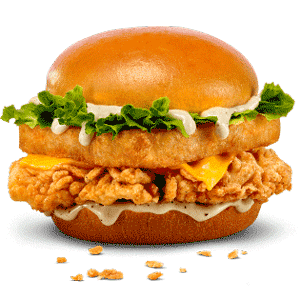 tadka burger